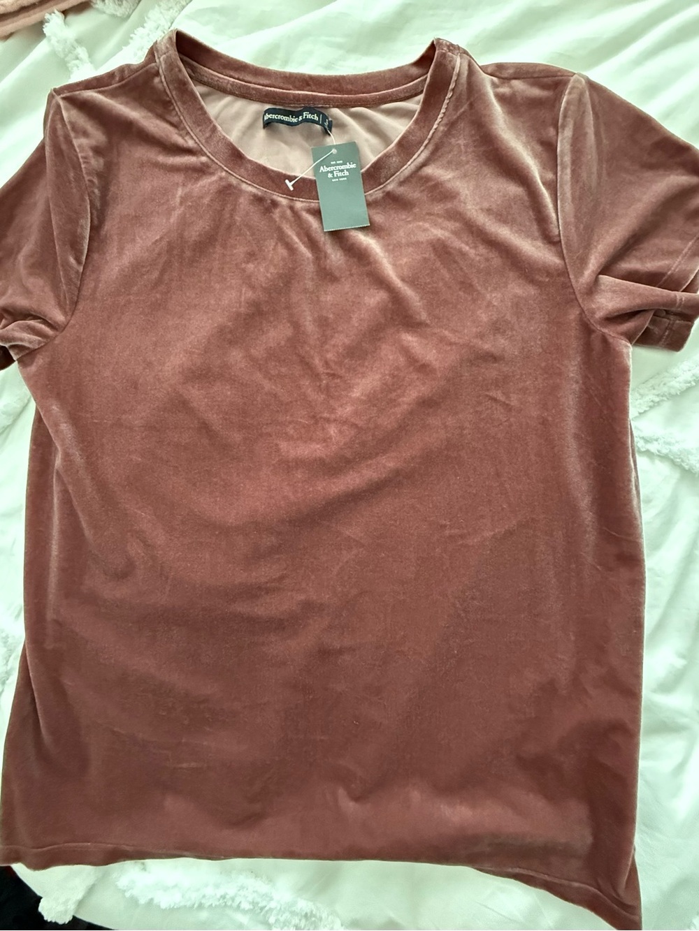 Abercrombie & Fitch Women's Velvet Short-Sleeve Tee — Rose Brown